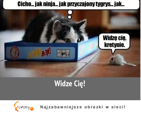 Widzę cię!