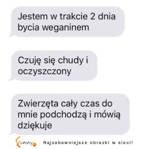 jestem w trakcie