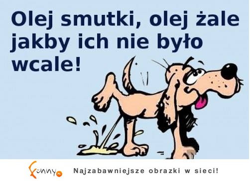 Hasło na dziś