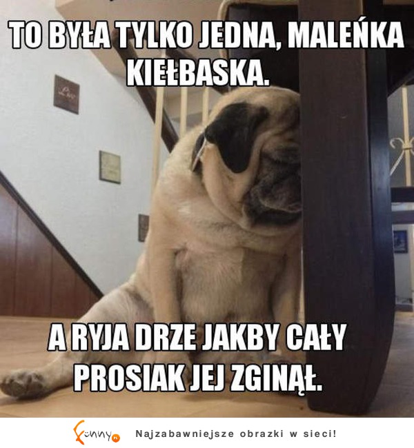 To była tylko jedna, maleńska kiełbaska.