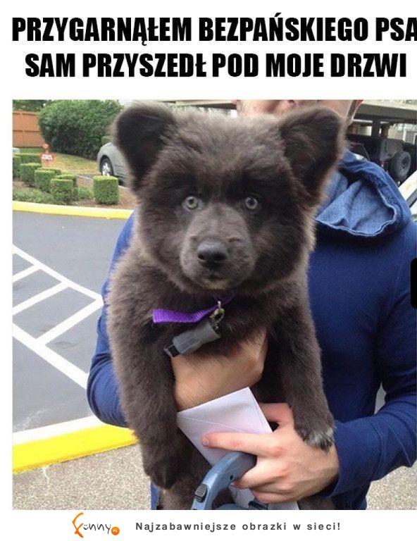 SAM SIĘ ZJAWIŁ XD