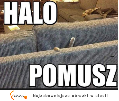 Halo POmusz