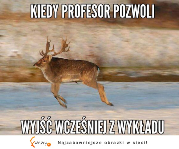 Wcześniejsze wyjście