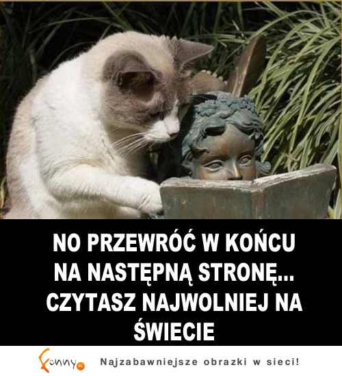 Najwolniej na świecie