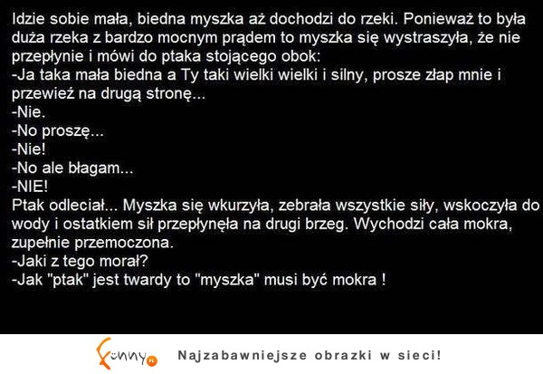 Opowieść o mokrej myszce i twardym ptaku nad rzeką :D Jaki z tego morał?