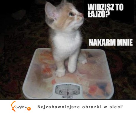 Widzisz to!