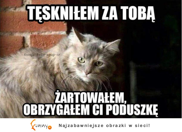 Tęsknilem za tobą :)