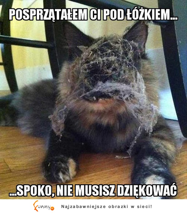 Nie musisz dziękować!