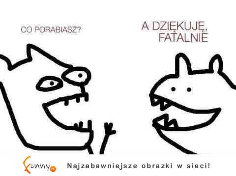 a dziękuję