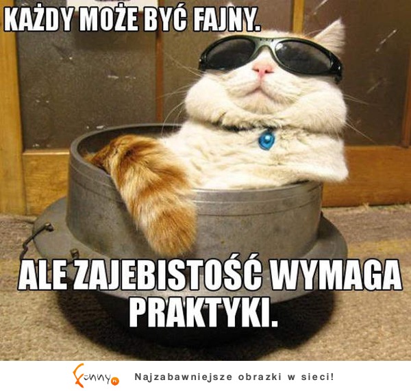 Każdy może byc fajny