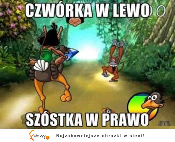 Wsiadaj na strusia, nie ma czasu na wyjaśnienia!