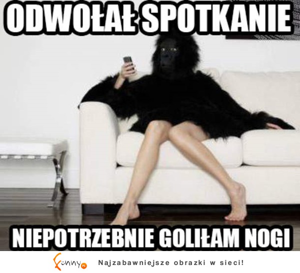 Odwołał spotkanie :)