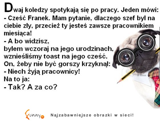 Na urodzinach szefa chyba nie ma sensu się odzywać, bo wydarzy się katastrofa XD