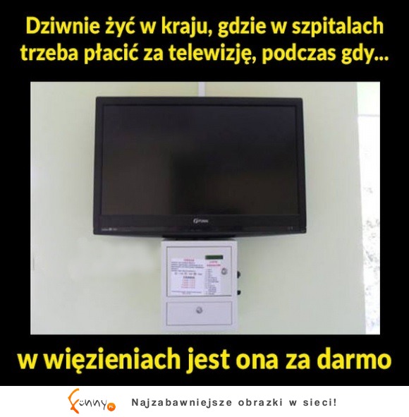 Polska to kraj absurdów! Czy może być jeszcze gorzej?