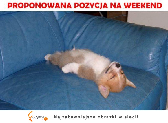 Proponowana pozycja na weekend