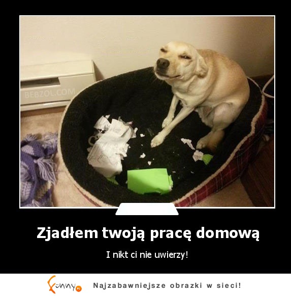 Zjadłem twoją pracę domową :)