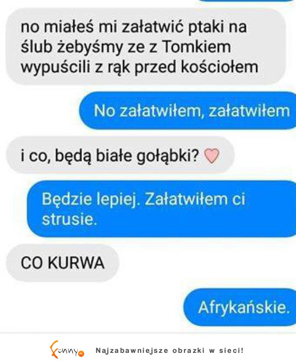 Koleś miał załatwić ptaki na wesele... ZOBACZ co się stało! HAHA