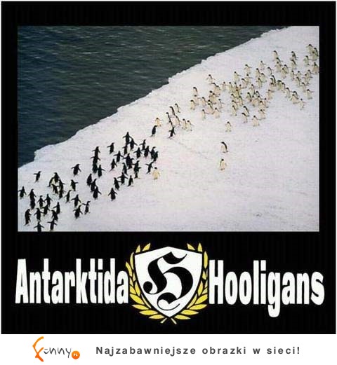 Antarktida Hooligans ;D