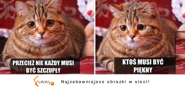 Ktoś musi byc piękny