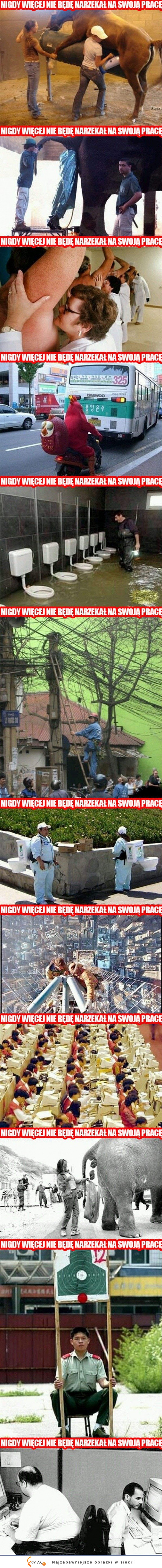 Już nigdy nie będę narzekał na swoją pracę :D