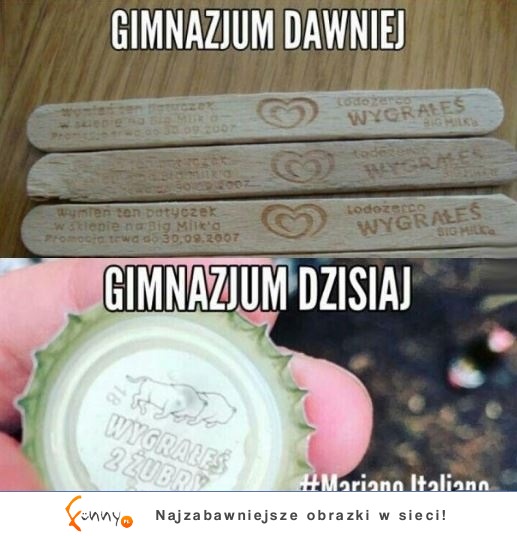 gimnazjum