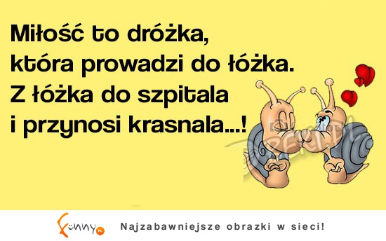 Miłość to dróżka