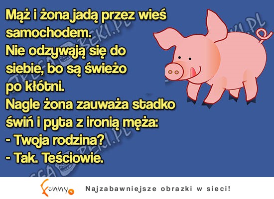 Facet miał niezła RIPOSTĘ! Tak wygląda stare małżęństwo! HAHA