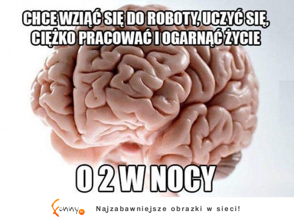 O 2 w nocy