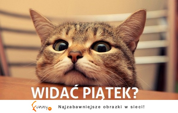 Widać piątek? :)