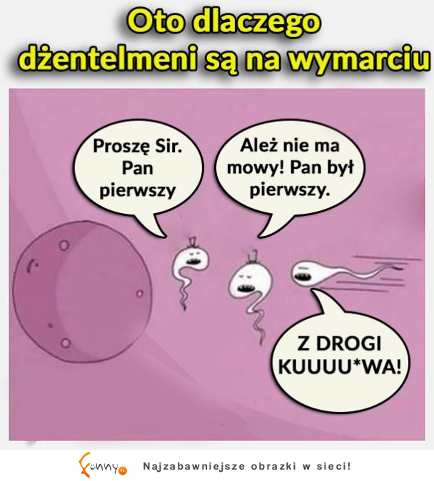 dżentelmeni na wymarciu