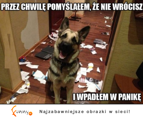 Przez chwilę pomyślałem, że nie wrócisz