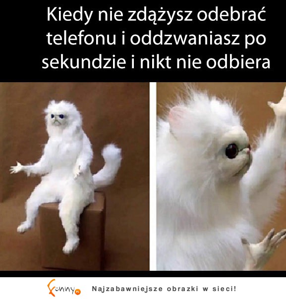 O co chodzi (3)