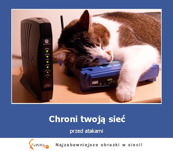 Chroni twoją sieć