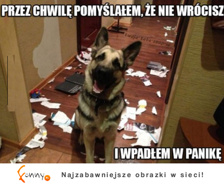 I wpadłem w panikę