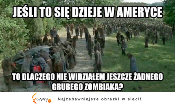 Nie widziałęm