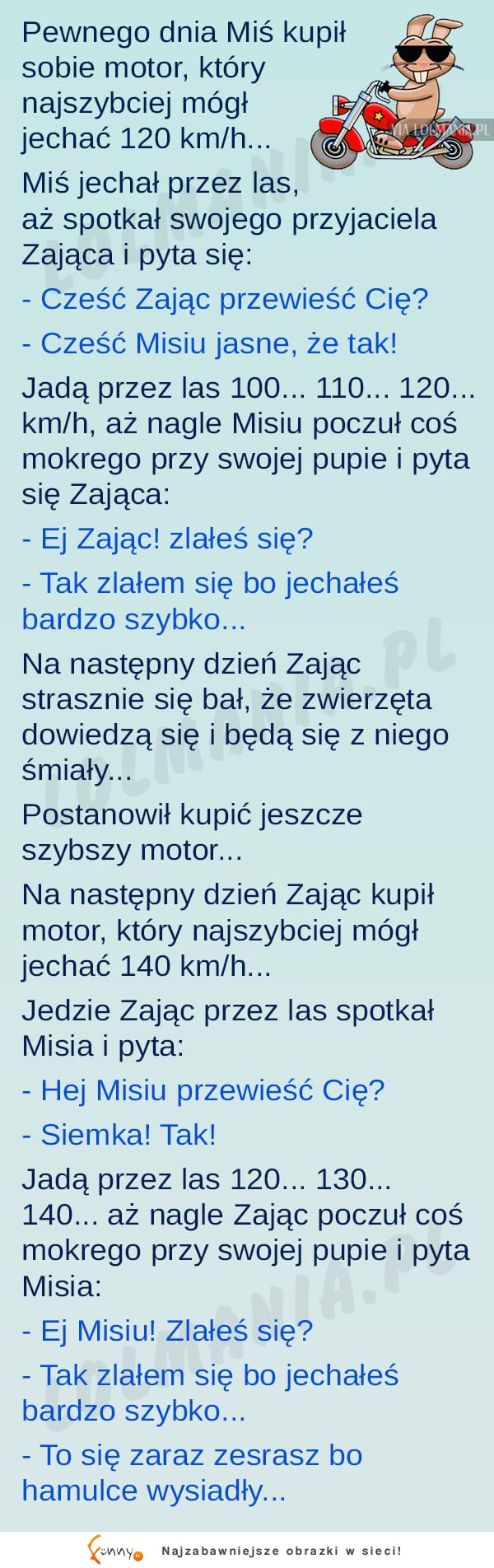 Zając miał super plan! Zobacz czy sie powiódł ;)