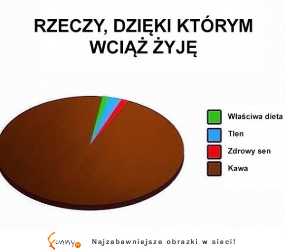 rzeczy, dzięki którym żyję