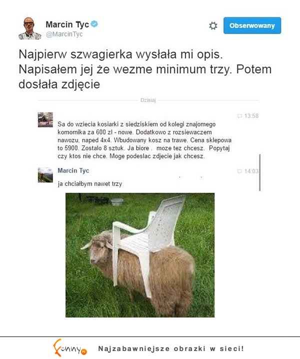 Szwagierka - mistrz trollingu