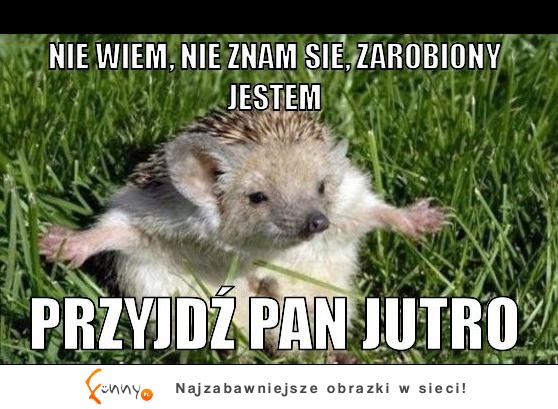 Przyjdź Pan jutro! :P