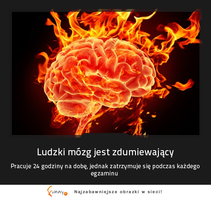 zdumiewający