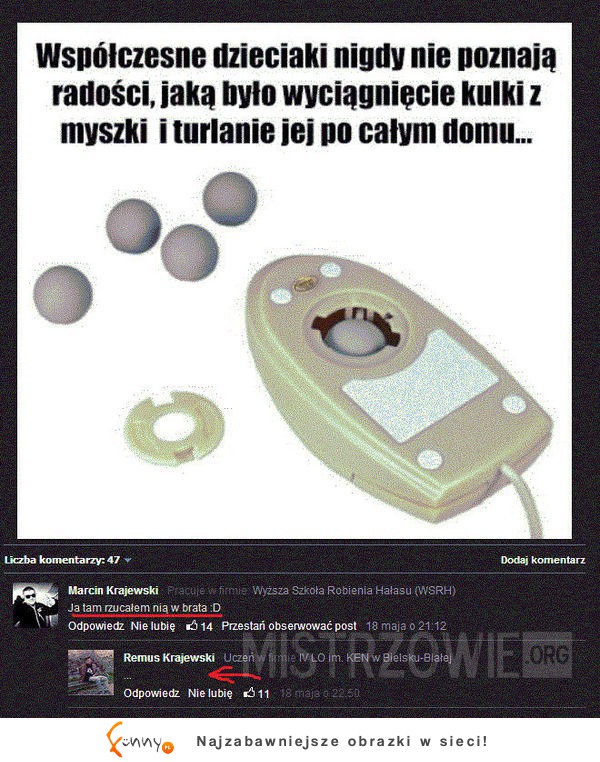 Najlepsze riposty MISTRZÓW INTERNETU! Ostatnia najlepsza ;D