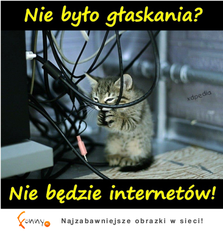 Nie będzie internetu