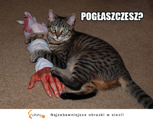 Pogłaszczesz