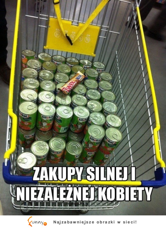 silna i niezalezna