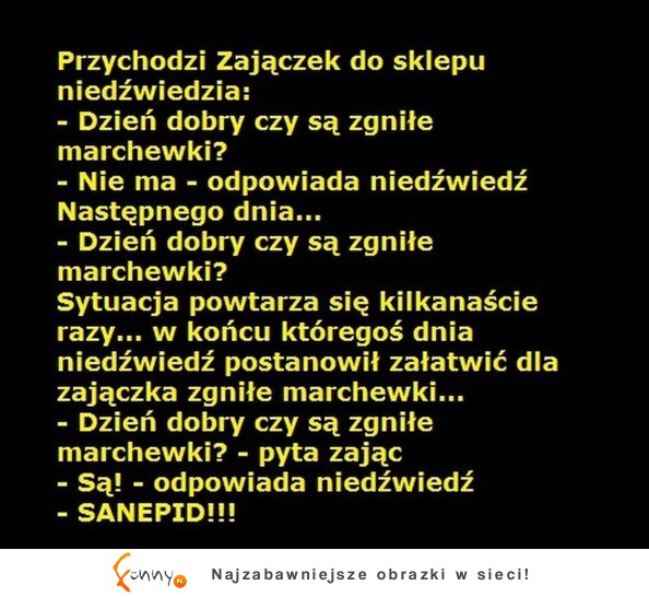 Zajączek w sklepie u niedźwiedzia ... Śmieszny :)