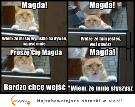 Magda no wpuść go! Ale robi miny MASAKRA :D