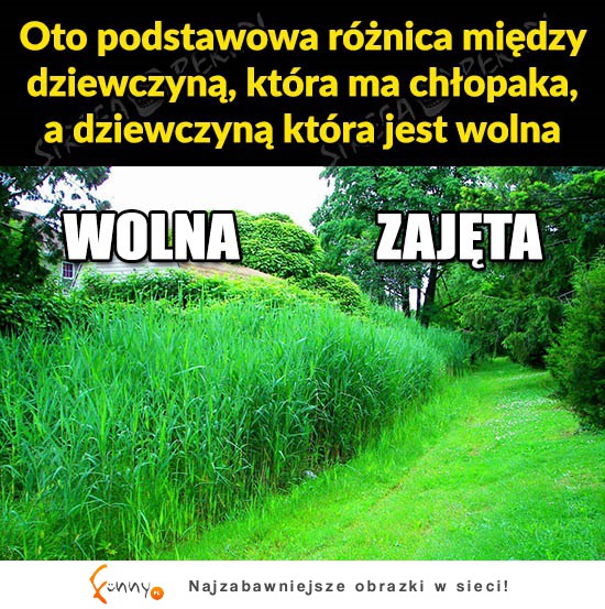 Czym różni sie WOLNA od ZAJĘTEJ kobiety ;)