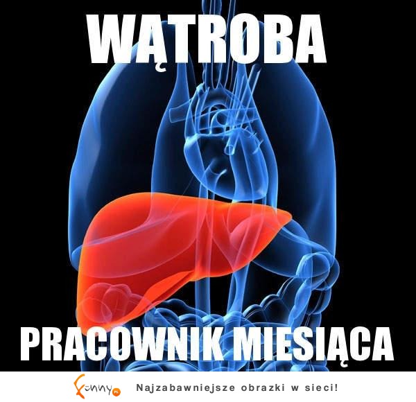 Pracownik miesiąca