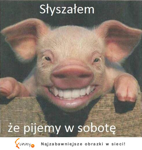 Pijemy