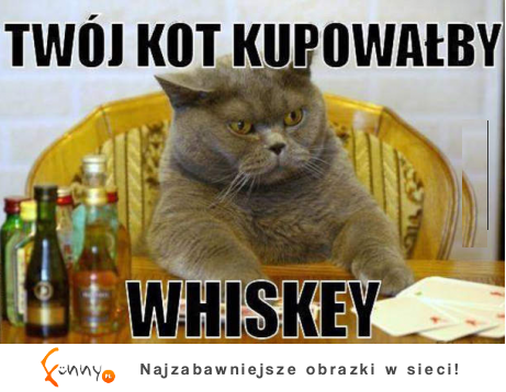 Twój kot kupowałby